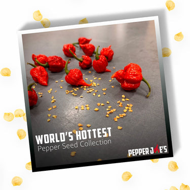 Worlds Hottest Pepper Seed Collection